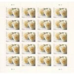 2011 Wedding Roses Commemorative Forever First Class Postage Stamps