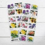 Snowy Beauty Forever Stamps