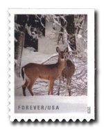 Winter Scenes Forever Stamps