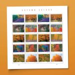 2024 Autumn Colors Stamps