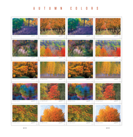 2024 Autumn Colors Stamps