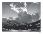 2024 Ansel Adams Stamps