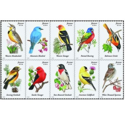 Songbird 2014 Stamps