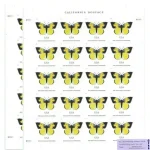 $1.12 California Dogface Butterfly