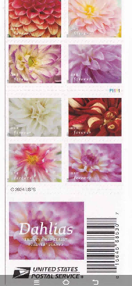 2025 Dahlias Forever Stamp Books – 100 Stamps